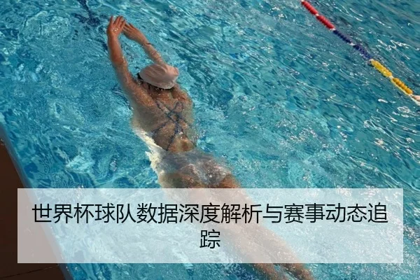 世界杯球队数据深度解析与赛事动态追踪
